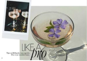 alcohol-drinken-like-a-pro-elle